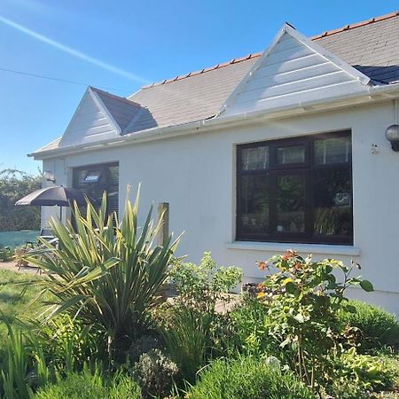 スウォンジー Y Cuddfan Gower Bed & Breakfast エクステリア 写真
