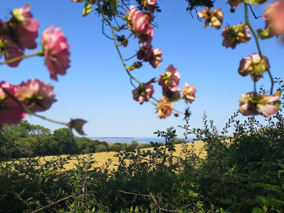 スウォンジー Y Cuddfan Gower Bed & Breakfast エクステリア 写真