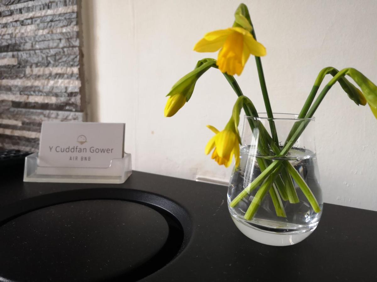 スウォンジー Y Cuddfan Gower Bed & Breakfast エクステリア 写真